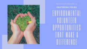 Environmental Volunteer Opportunities That Make A Difference