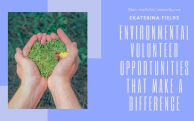 Environmental Volunteer Opportunities that Make a Difference