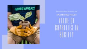 Value Of Charities In Society